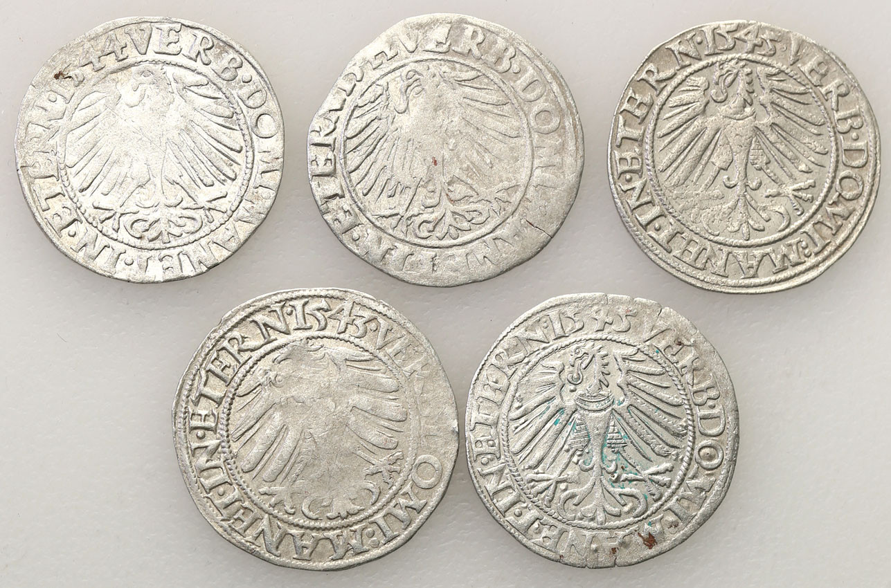 Śląsk. Fryderyk II. Grosz 1543-1545, Legnica/Brzeg, zestaw 5 sztuk
